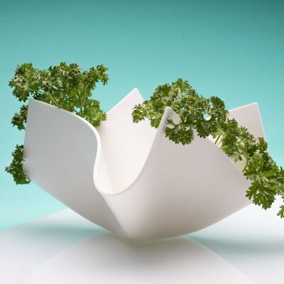 Elegant Decorative Bowl "Harvested herbs"