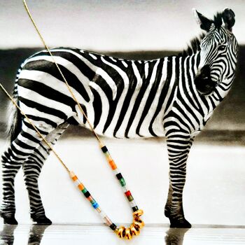 Collier Zebra multi 2