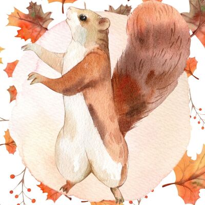 Écureuil d'automne | Carte A6
