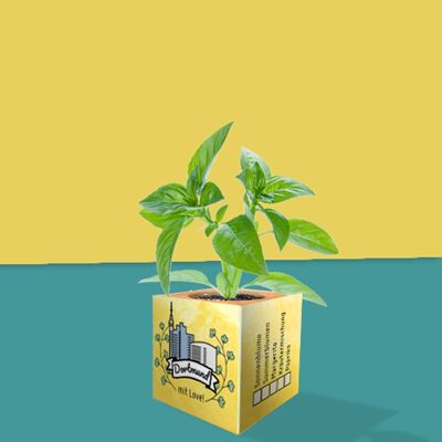 Stadtliebe® | Cubo de plantas de Dortmund diferentes semillas mezcla de hierbas