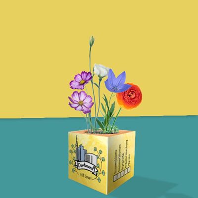 Stadtliebe® | Dortmund plant cube diferentes semillas de flores de verano.
