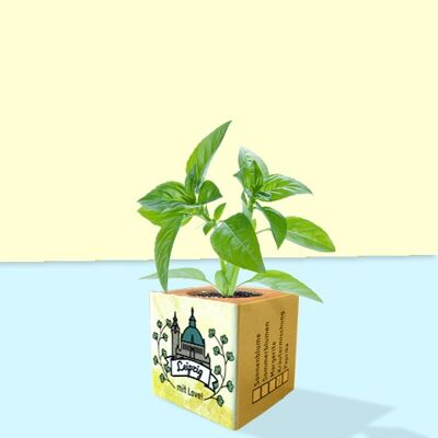 Stadtliebe® | Cubo de plantas de leipzig diferentes semillas pimentón