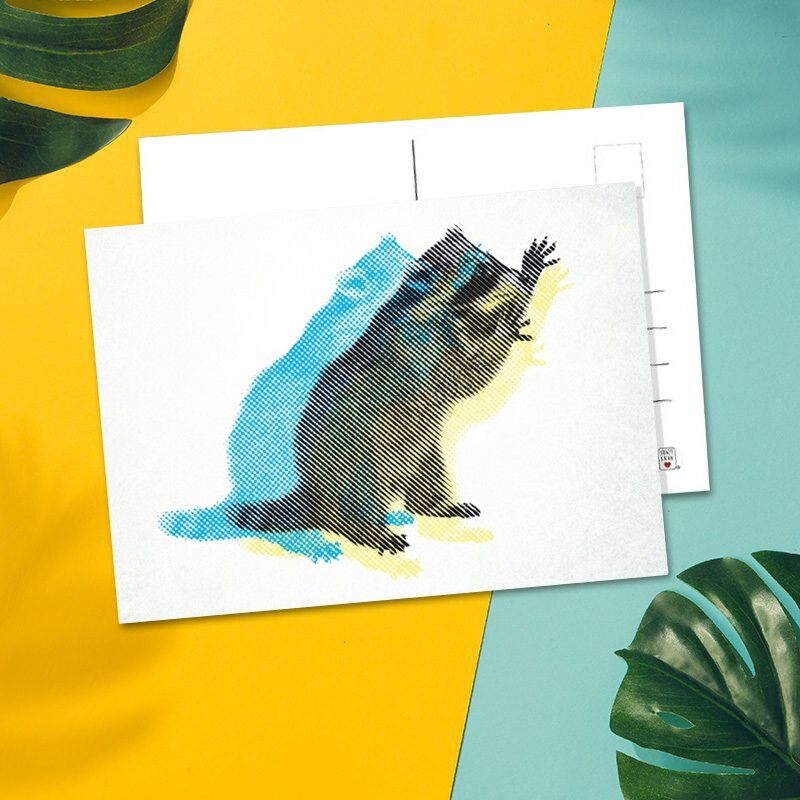 Stadtliebe® | Postal de Kassel de cartón de pulpa de madera "mapache"