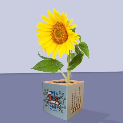 Stadtliebe® | L'usine de Munich cube différentes graines de fleurs d'été