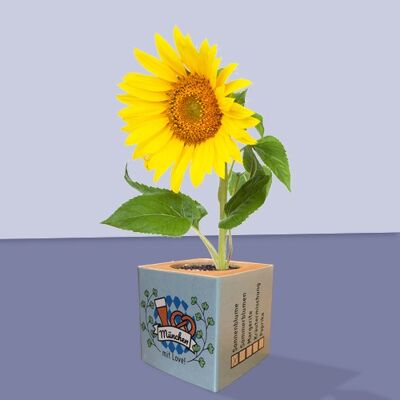 Stadtliebe® | Munich planta cubo diferentes semillas girasol