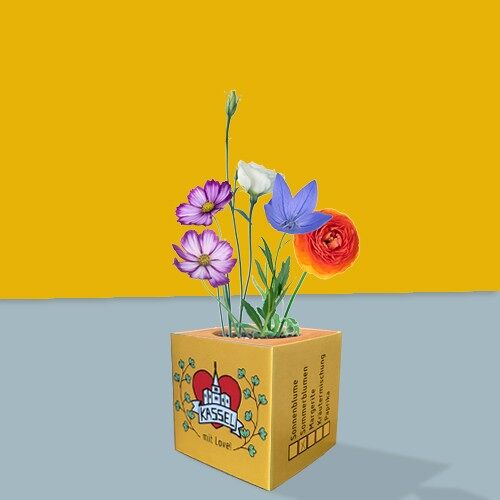 Buy wholesale Stadtliebe®  Kassel plant cubes - summer flowers
