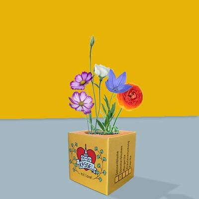 Stadtliebe® | Cubos de plantas de Kassel - flores de verano