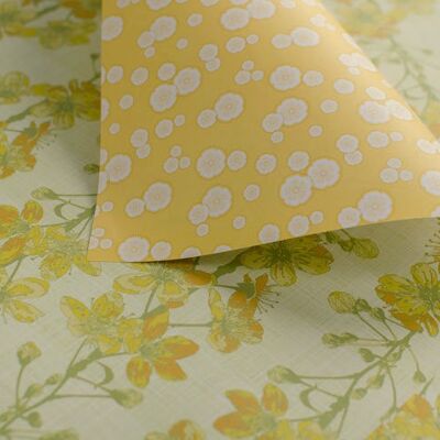 Cherry sprigs & blossoms - honey & yellow - gift wrapping paper