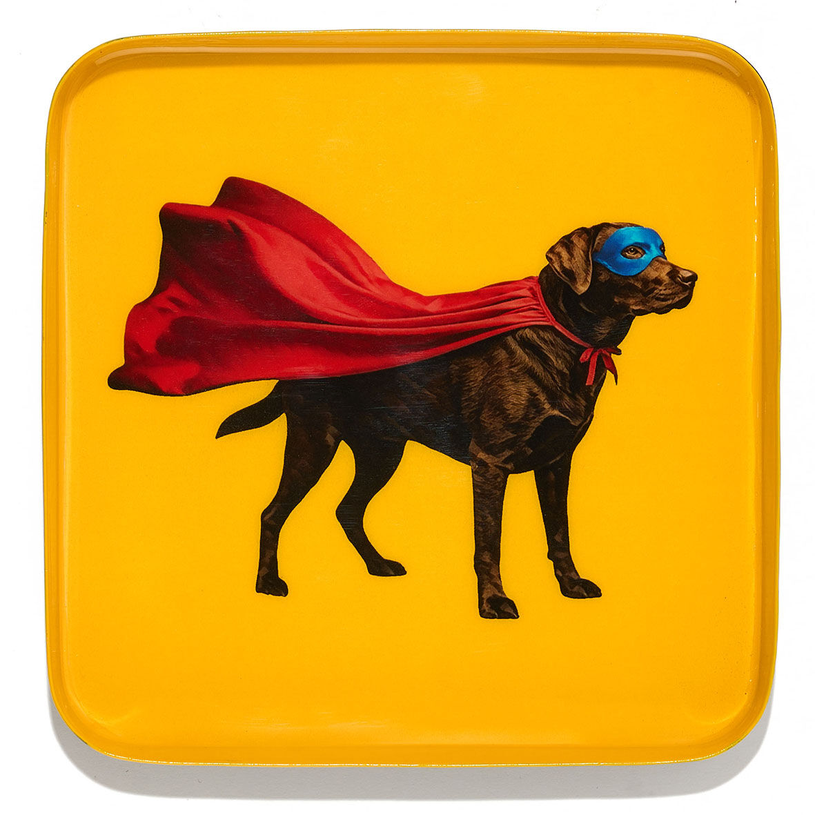 Labraman valet tray