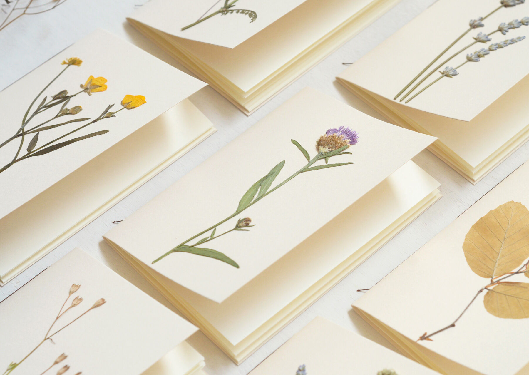 Set of 10 A6 herbarium notebooks • real pressed plants • decreasing price