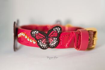 Papillons 3