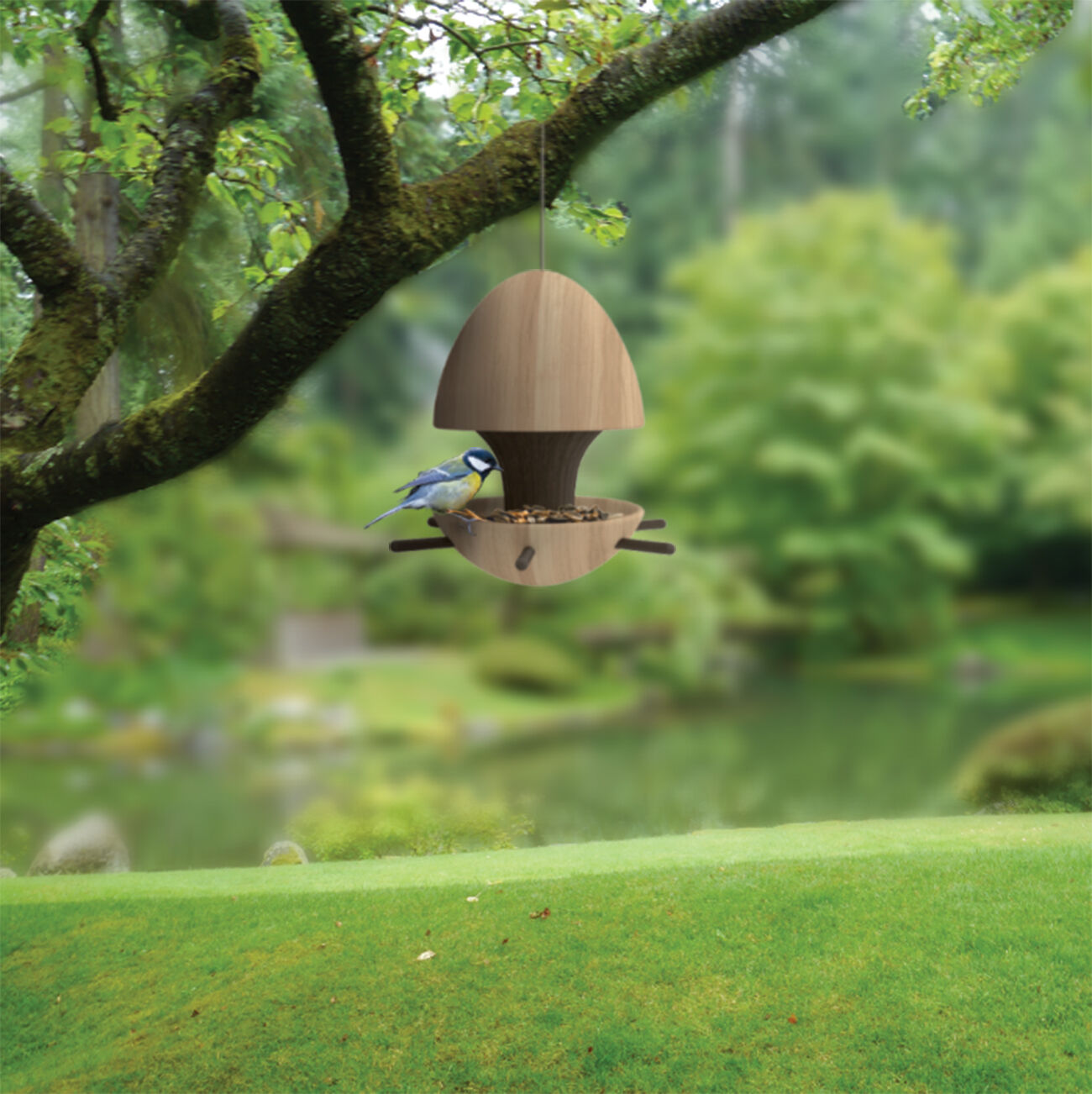 Highty NW - Bird feeder