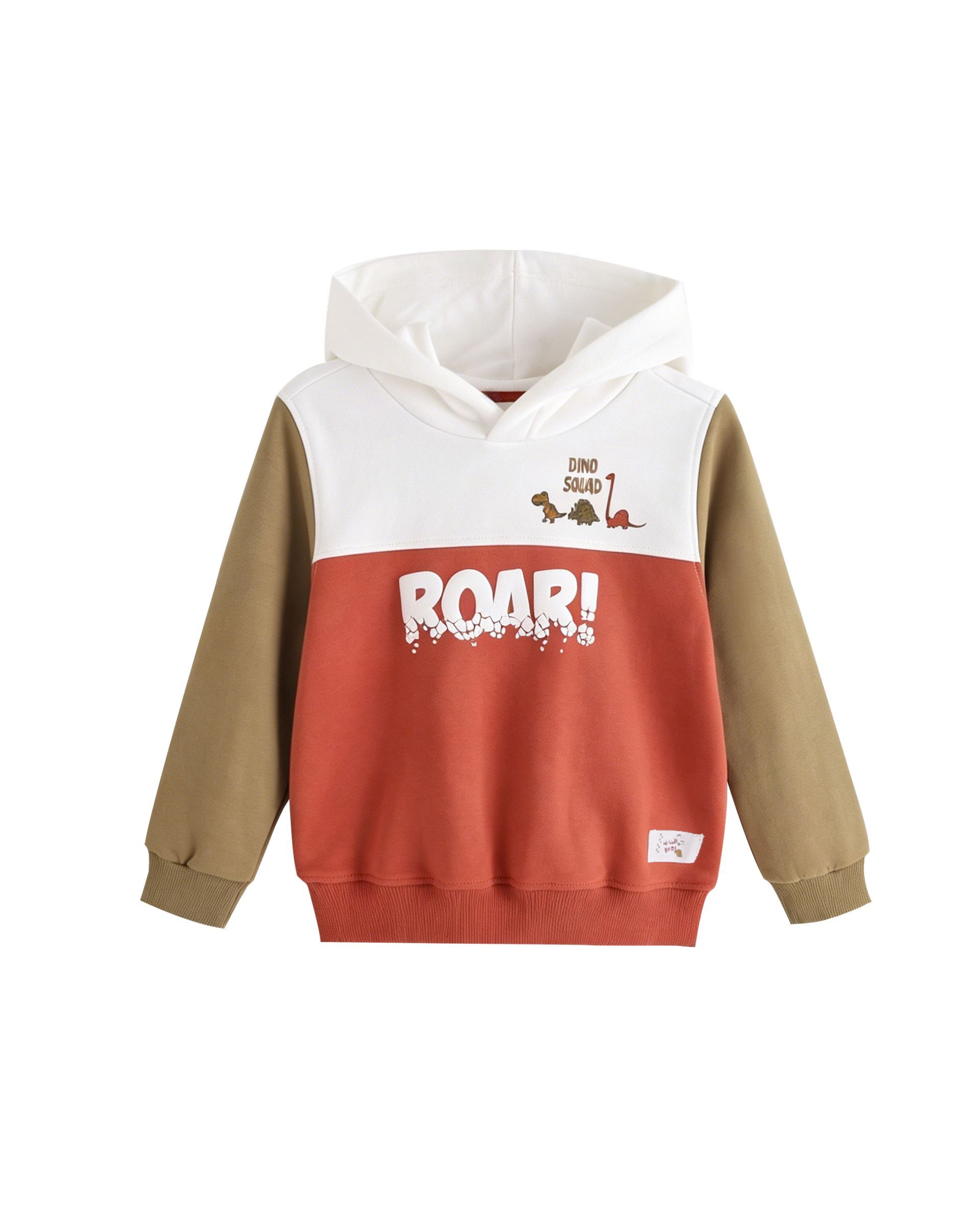 Sudadera capucha, bloques color y texto,2-6Y,JBI66266