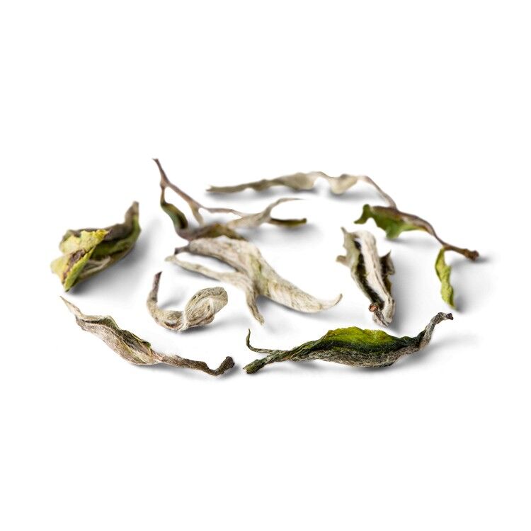 215 - Jabire - busta da 100 g