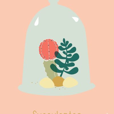 Carte Succulentes