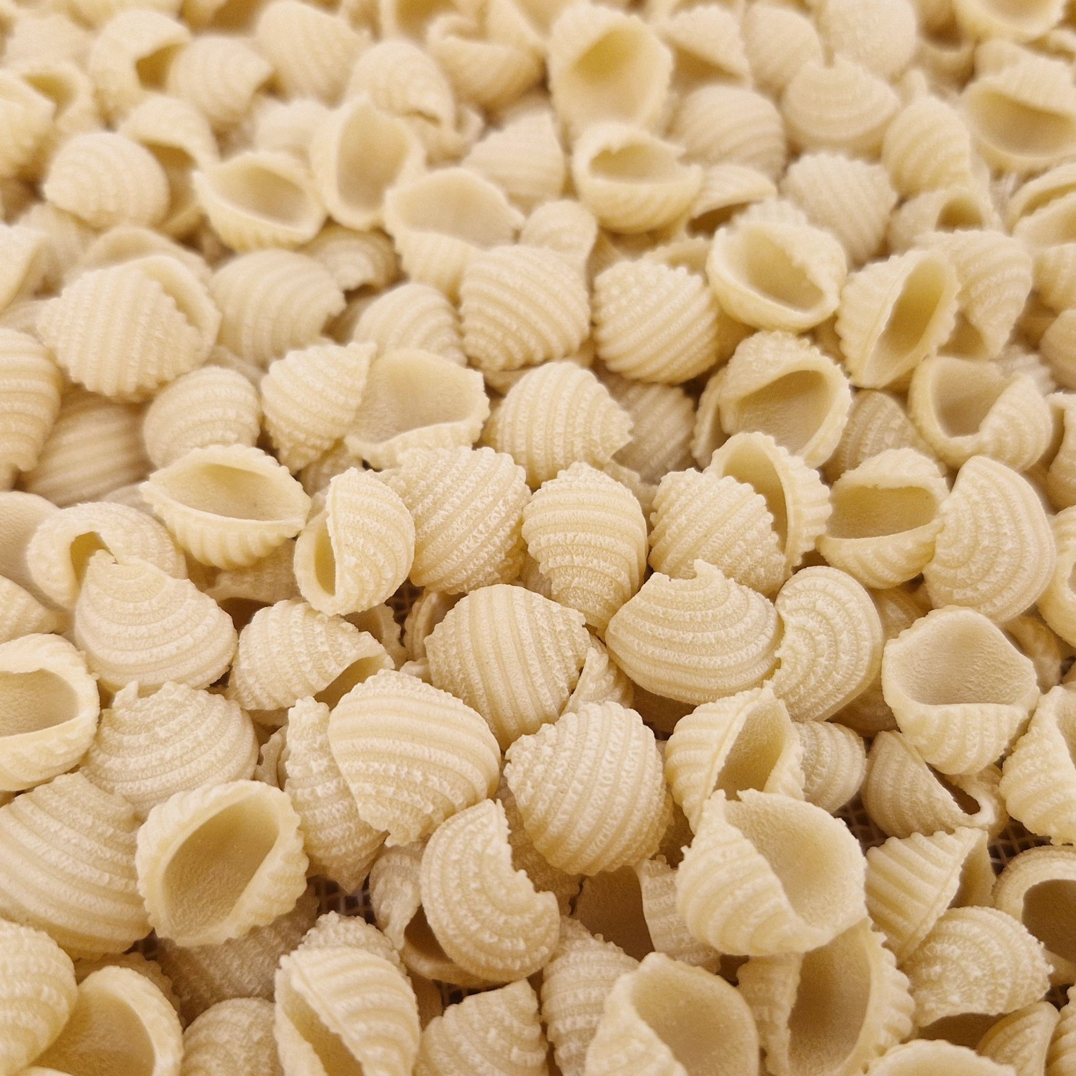 Organic bulk pasta - Conchiglie (5 kg bag)