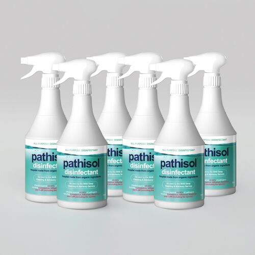 Eco Friendly Disinfectant 750ml (pack of 6)