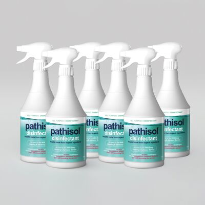 Desinfectante Eco Friendly 750ml (pack de 6)