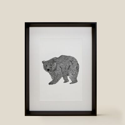cartel de oso