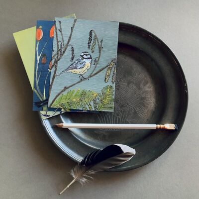 Cartoline di uccelli da giardino britannici - Set di 5