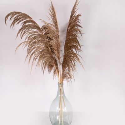 Tiges d'herbes de pampas gras stabilisees 80 cm - gold metal