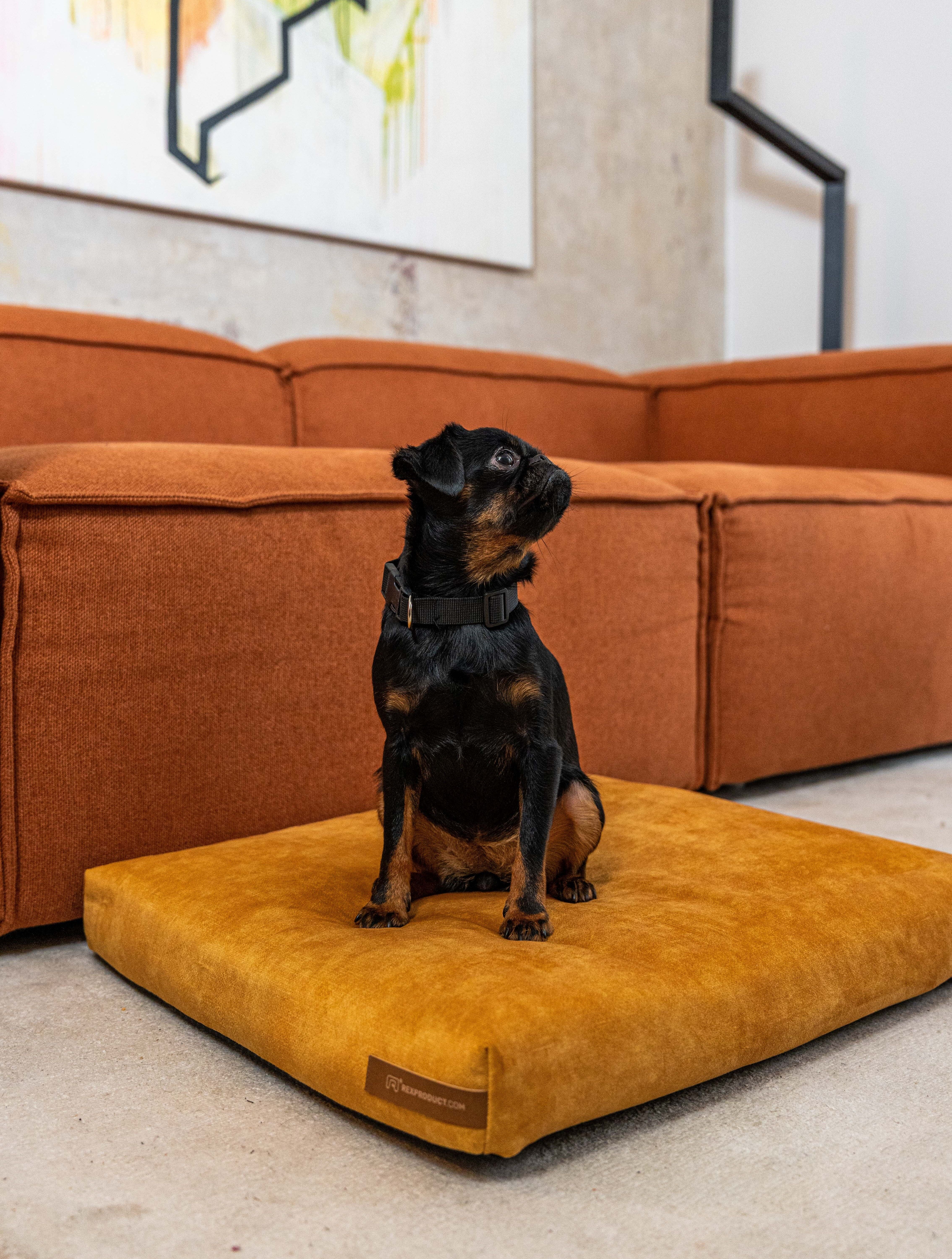 Matratze „Soft“ für einen Hund und eine Katze – recycelt – Gelb M