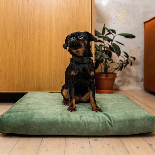 Mattress "Soft" for a dog and a cat- recycled - Light Green S