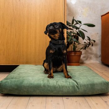 Matelas "Soft" pour chien et chat - recyclé - Vert Clair XXL 1