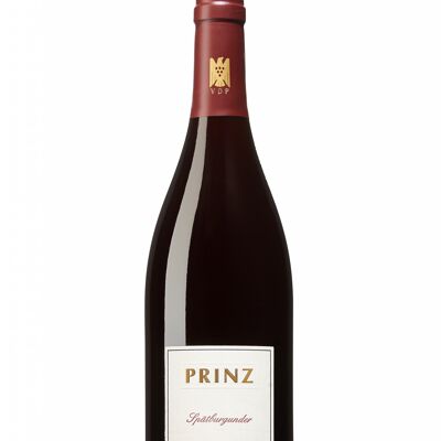 2022 SPÄTBURGUNDER VDP seco.vino de finca