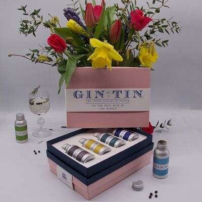 Coffret Quatre Gins Pour Mamans – Boîte Rose (Caisse de 12)