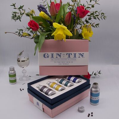 Geschenkset mit vier Gins für Mütter – Pink Box (12er Karton)