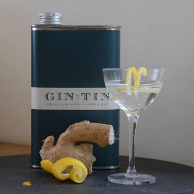 Gingembre, Racine d'Angélique & Zeste de Citron Gin In TIn – No.13 Boîte de 50cl (Carton de 6)