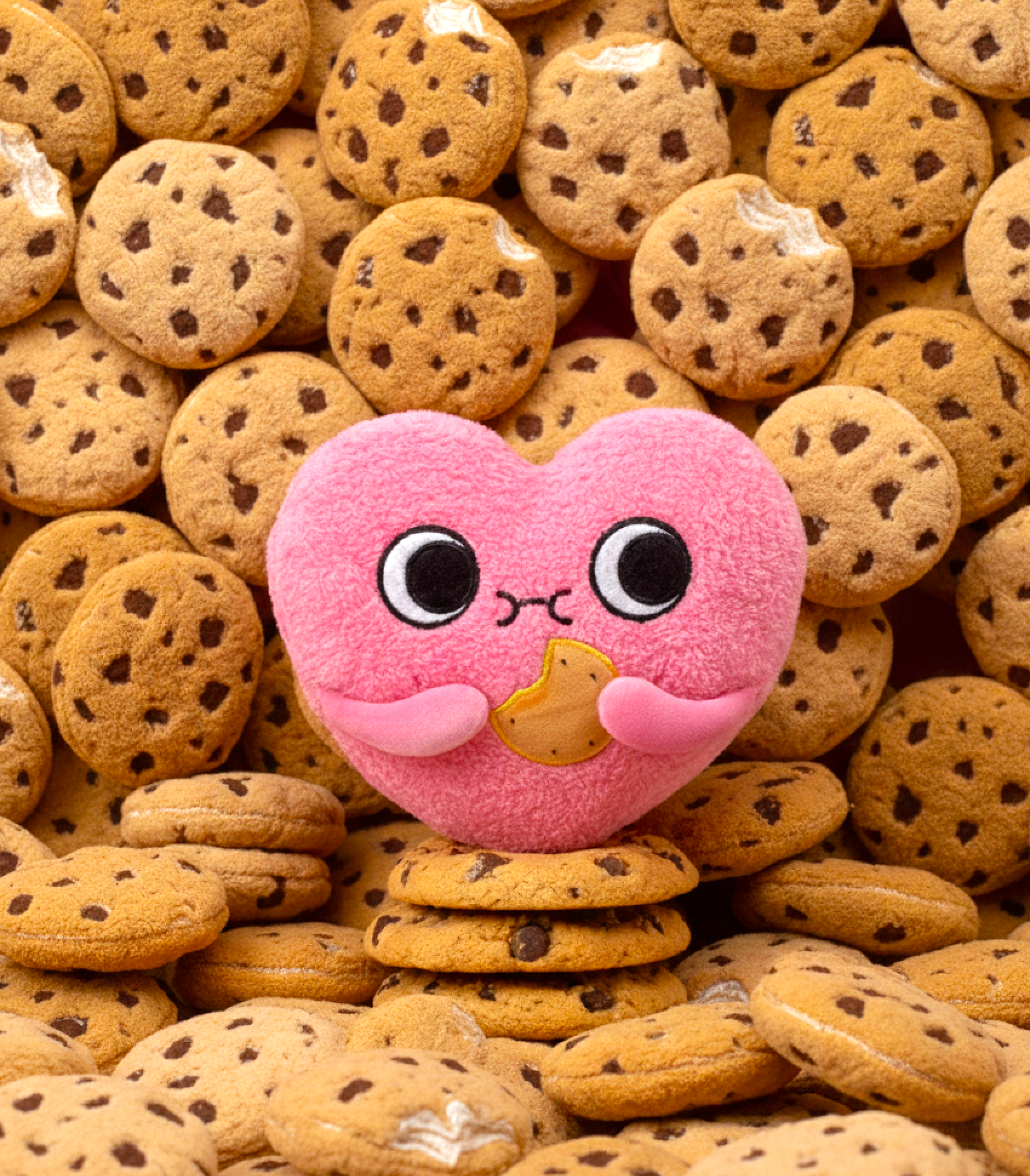 Peluche Cœur Amateur de Biscuits Munchies – Coussin en Polaire Douce (Testé CE et UKCA)