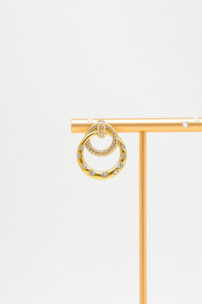 Stainless steel earrings
