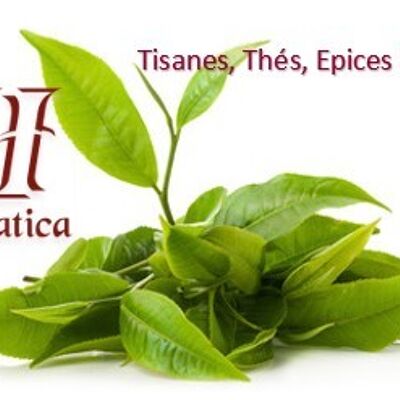 Organic "L'Original" green tea