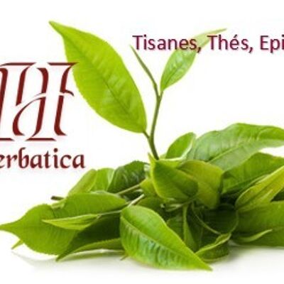 Organic "L'Original" green tea
