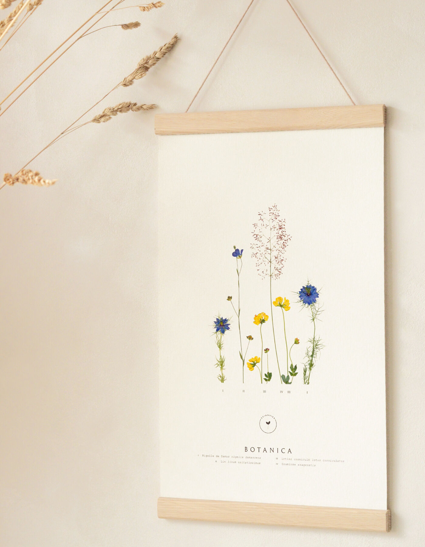 Wildflowers poster "Meadow" • Botanica collection • 3 sizes available