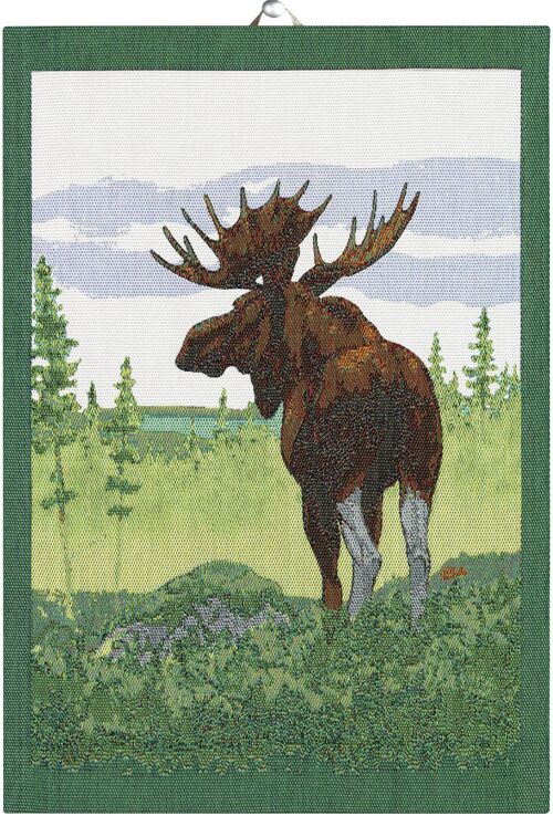 Moose 35x50 cm