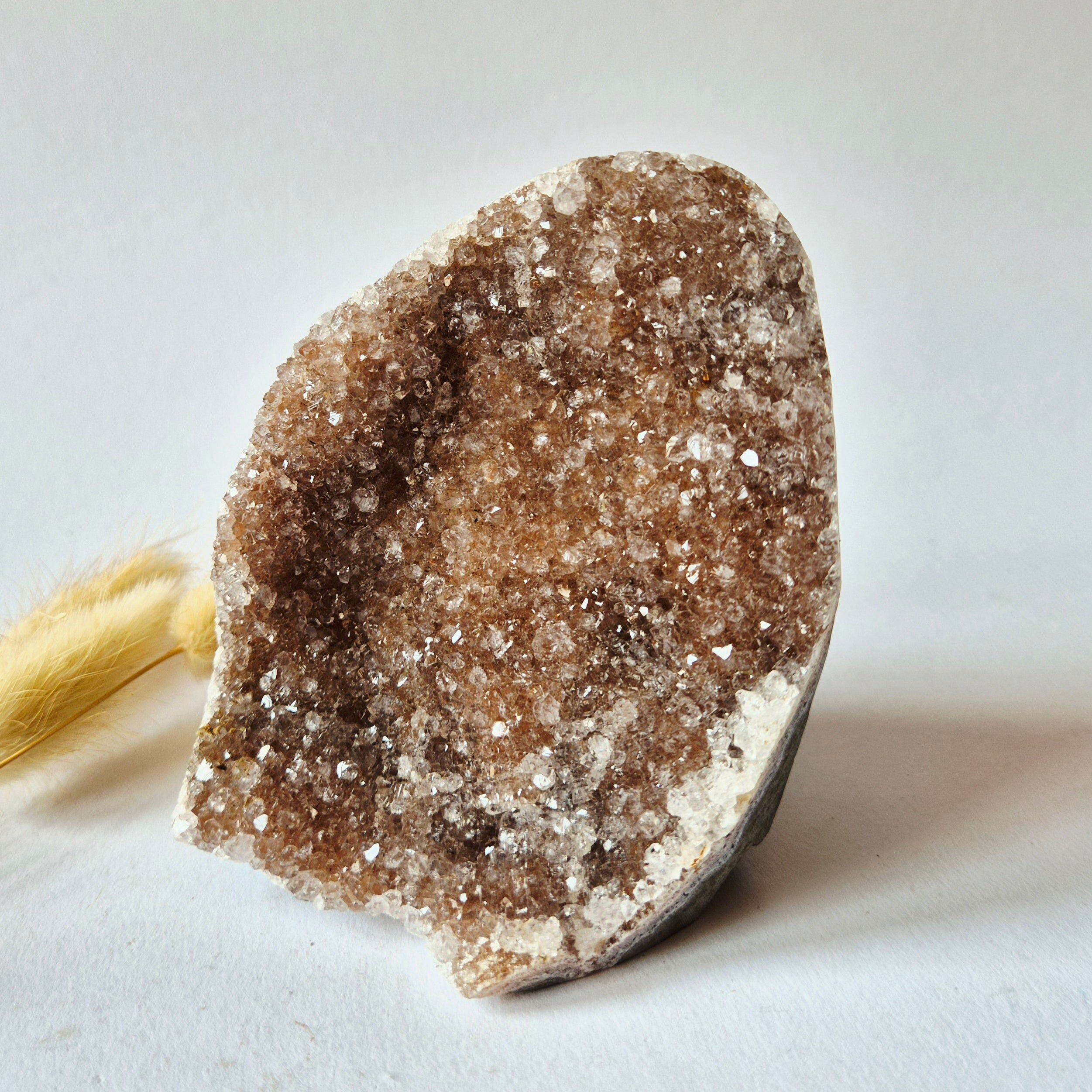 Champagne Amethist Druzy Vrije Vorm 649g | Natuurlijke Kristal Geode