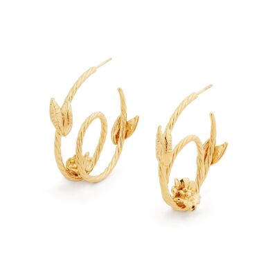 Gold Peaseblossom Hoops