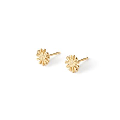 Gold Copernicus Studs