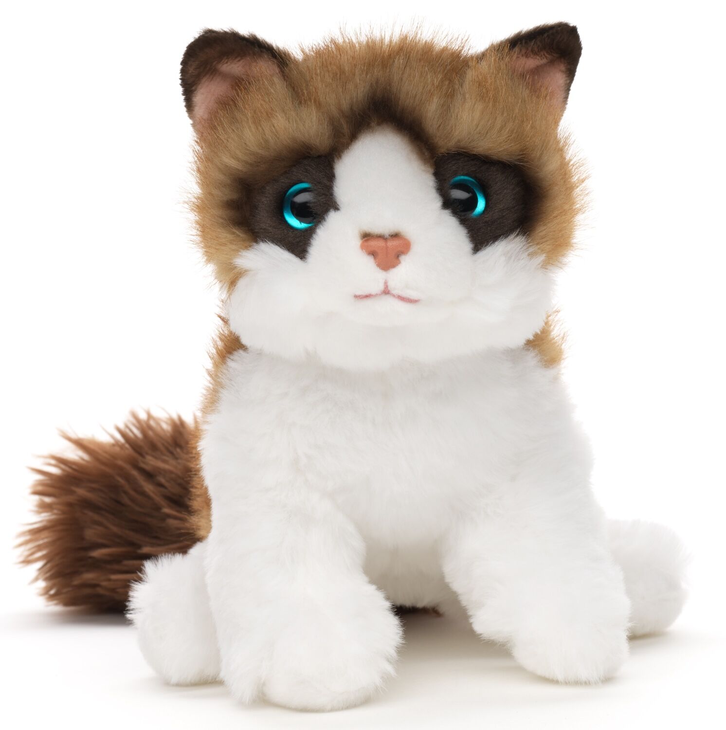 Ragdoll-Katze - 30 cm (Länge) - 18 cm (Höhe) - Keywords: Katze, Kätzchen, Haustier, Plüsch, Plüschtier, Stofftier, Kuscheltier