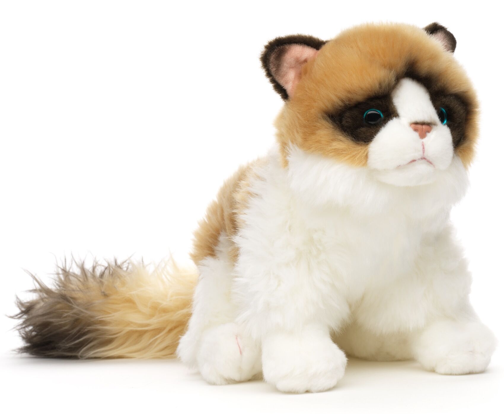 Chat Ragdoll - 35 cm (longueur) - Mots-clés : chat, chaton, animal de compagnie, peluche, jouet en peluche, animal en peluche, doudou
