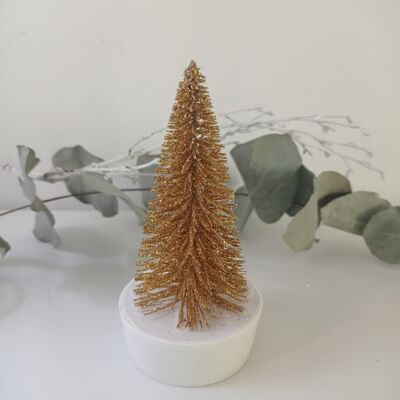 Golden fir on white concrete base