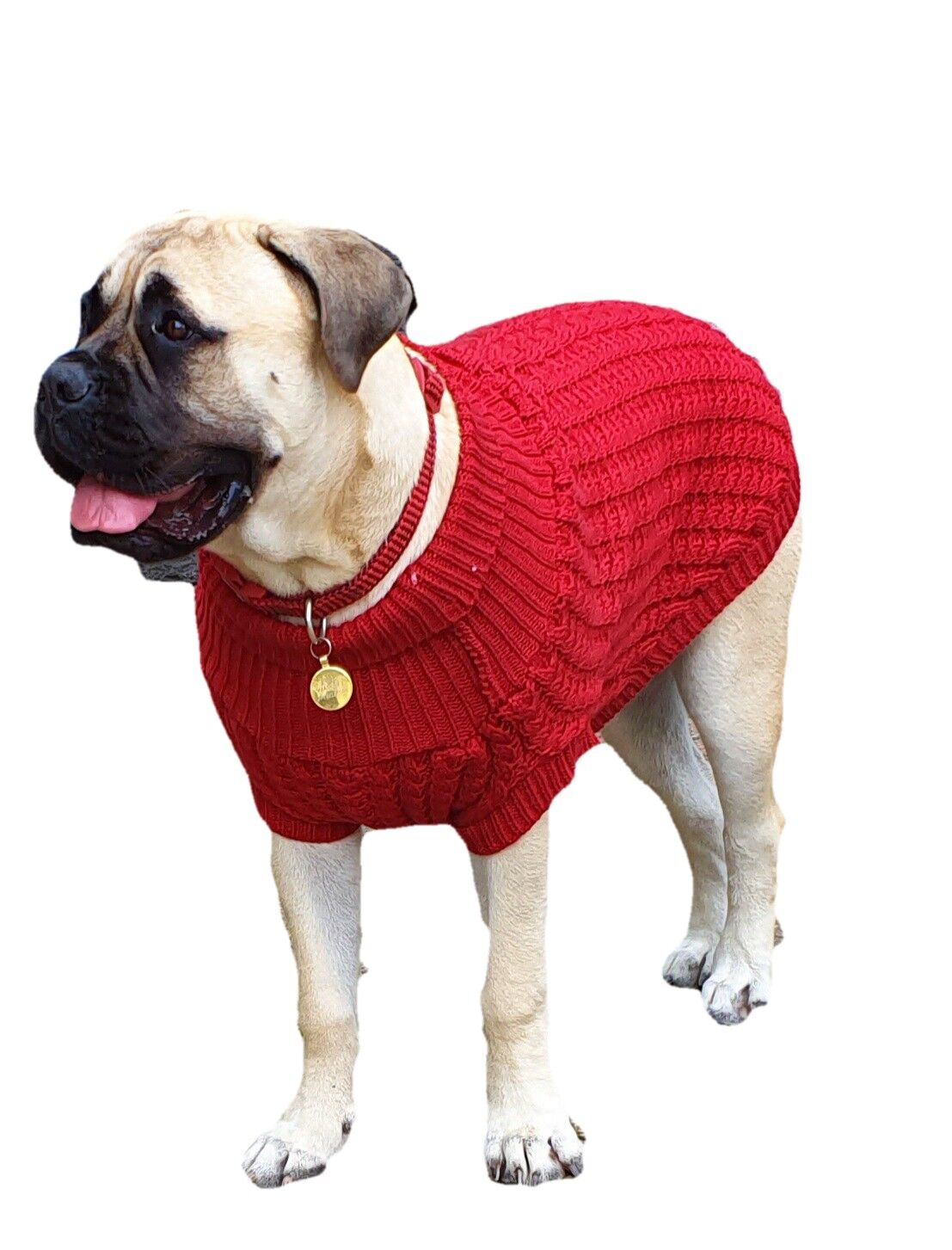 The Chunk Dog Jumper