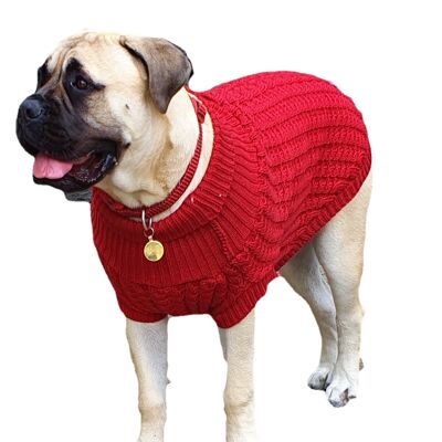 El jersey de perro Chunk