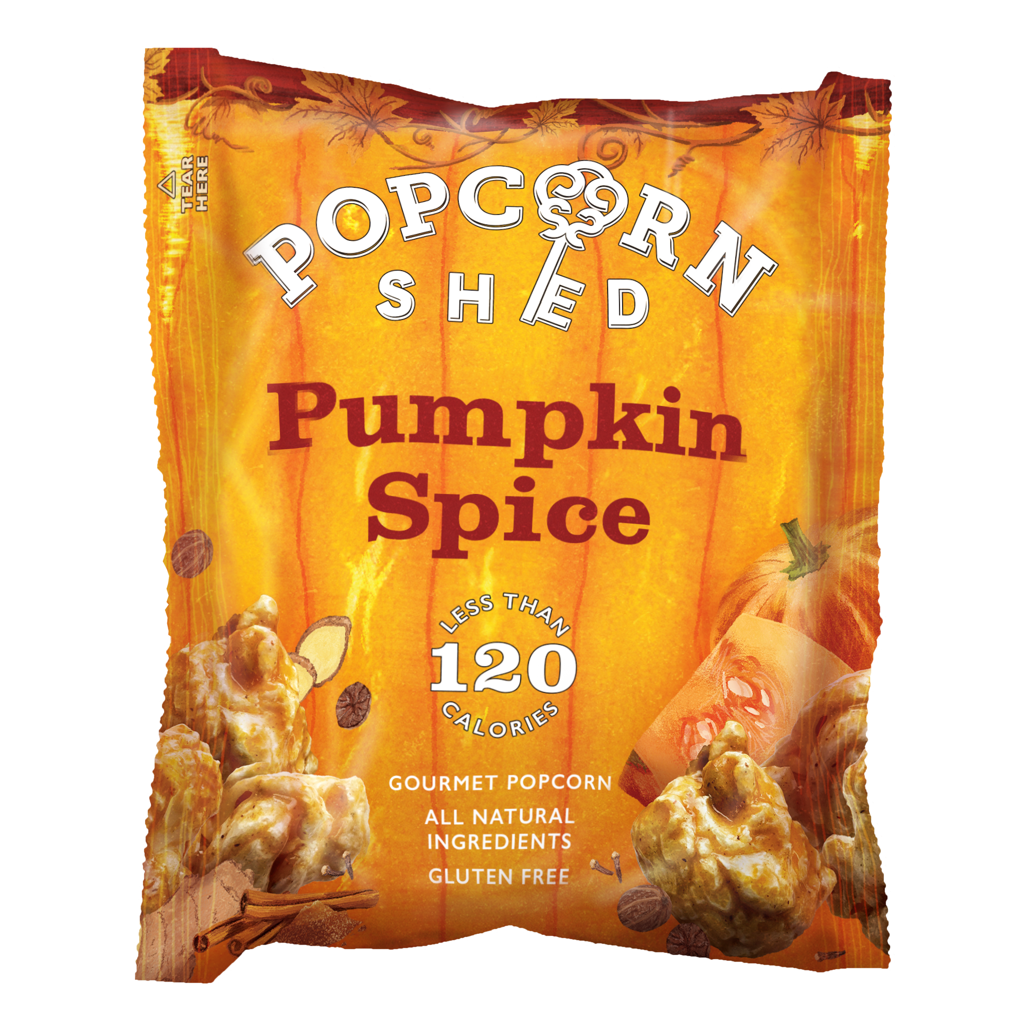 Pumpkin Spice Gourmet Popcorn Snack Pack