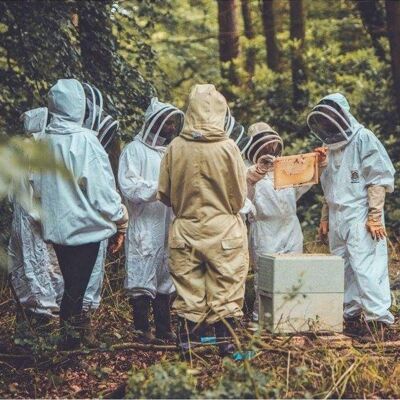 Introduction à l'apiculture