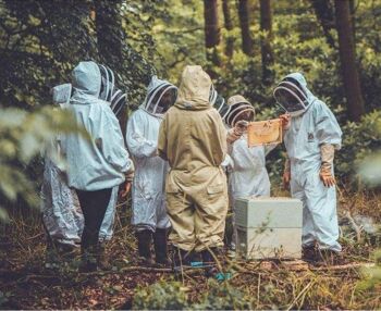 Introduction à l'apiculture 1