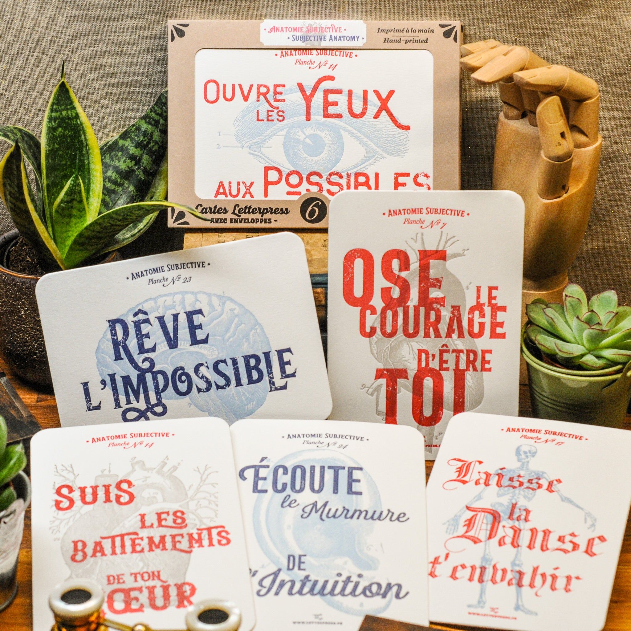 Coffret de 6 Cartes Letterpress Anatomie Subjective (avec enveloppes)